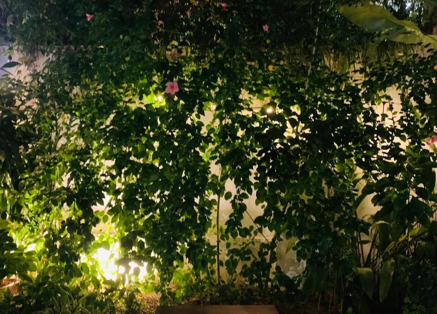 An Hien Homestay Hoi An