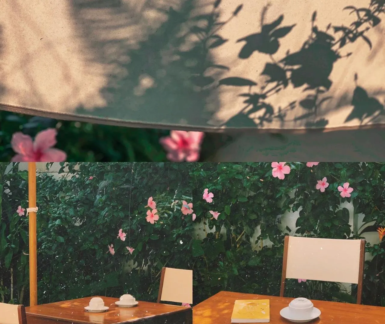 An Hien Homestay Hội An